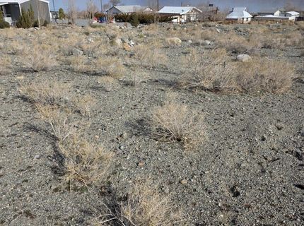 209 Pamela Drive, Walker Lake, NV 89415 Photo