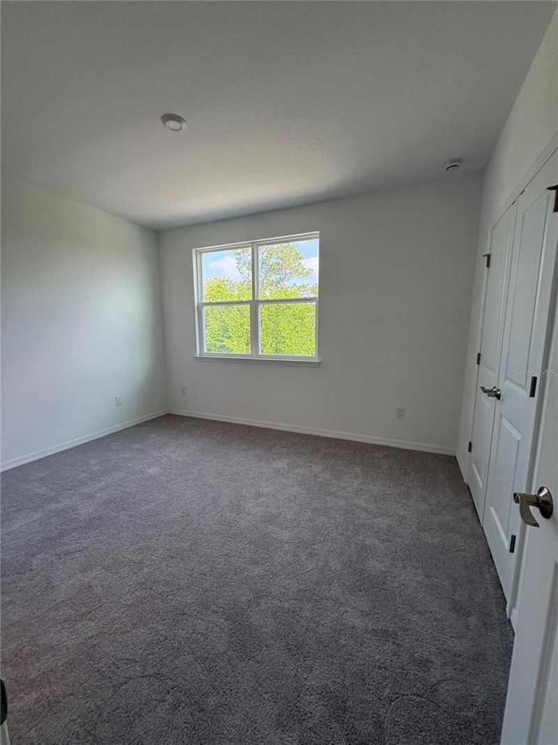9716 Tate Lane, Westchase, FL 33626 Photo