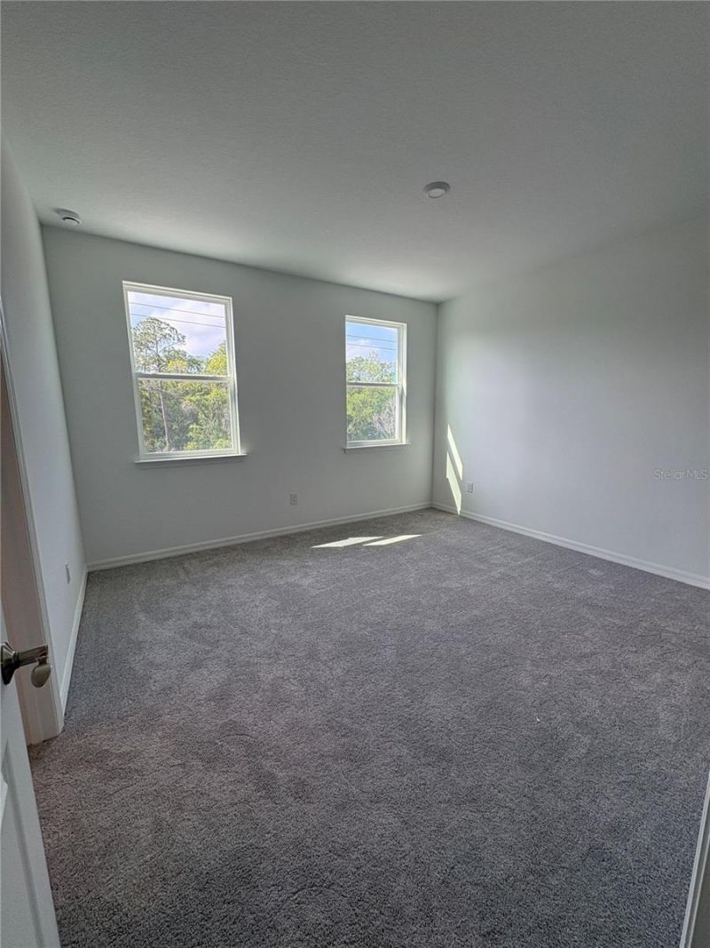 9716 Tate Lane, Westchase, FL 33626 Photo
