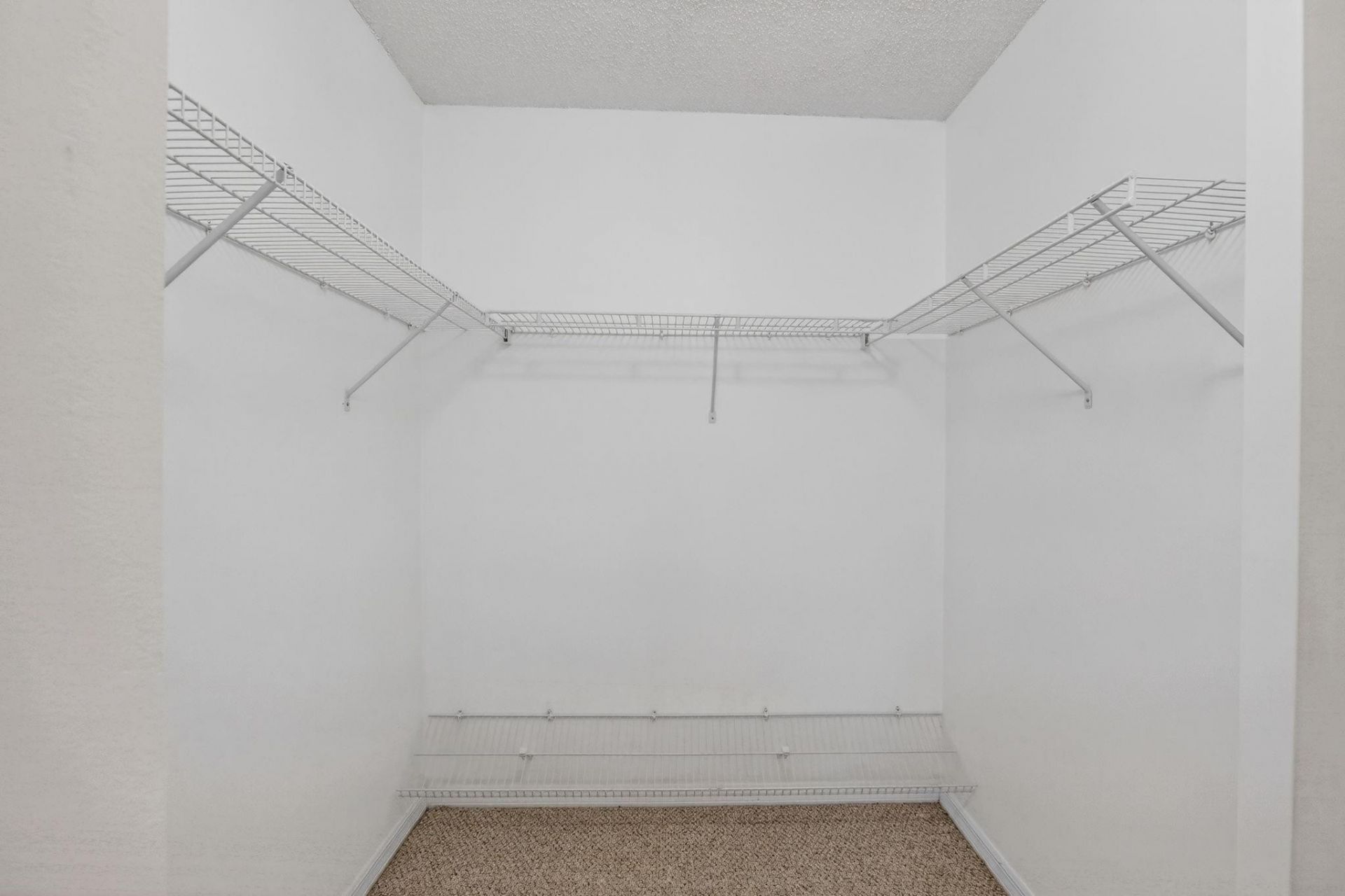 19343 SW 60th Court, Southwest Ranches, FL 33332 Photo