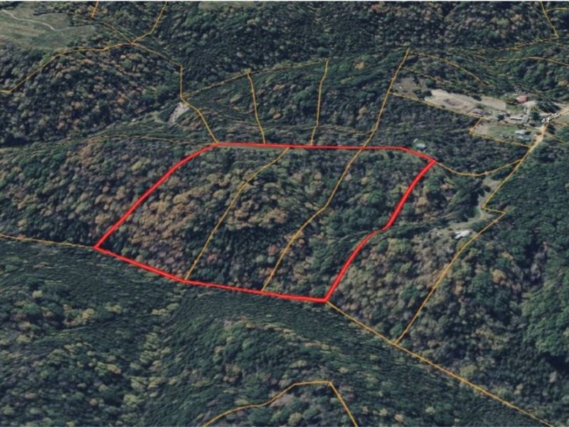 700 Tony Road, West Union, OH 45144 Photo 2