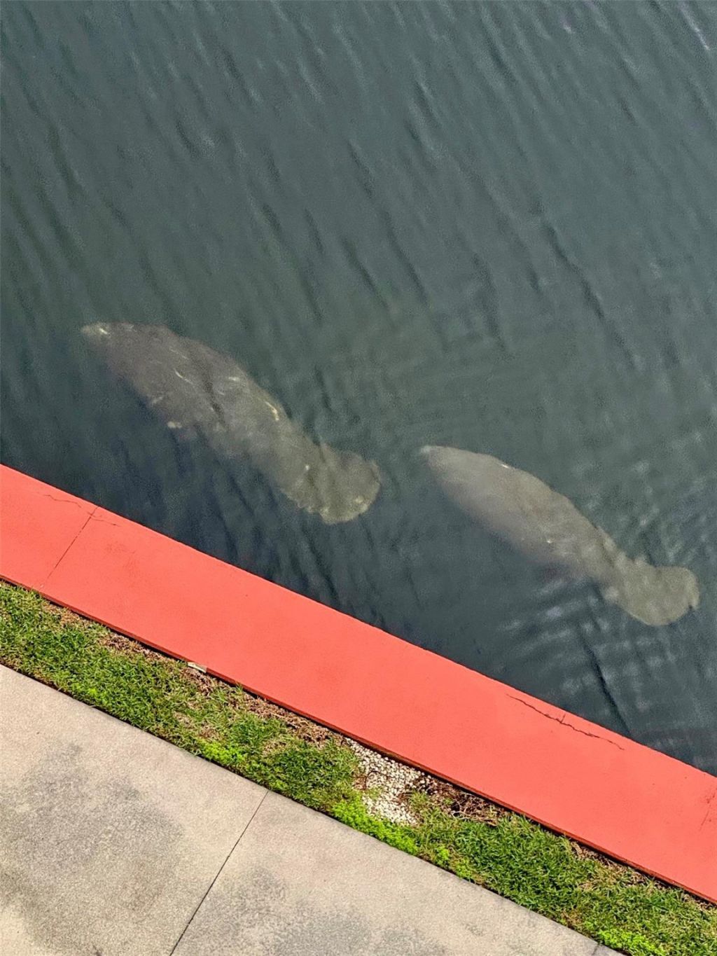 3200 NE 36th Street, Unit 608, Fort Lauderdale, FL 33308 Photo