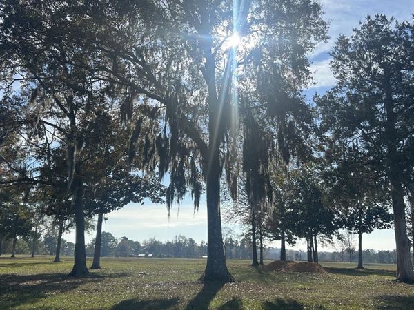 SR-85 Lake , Laurel Hill, FL 32567