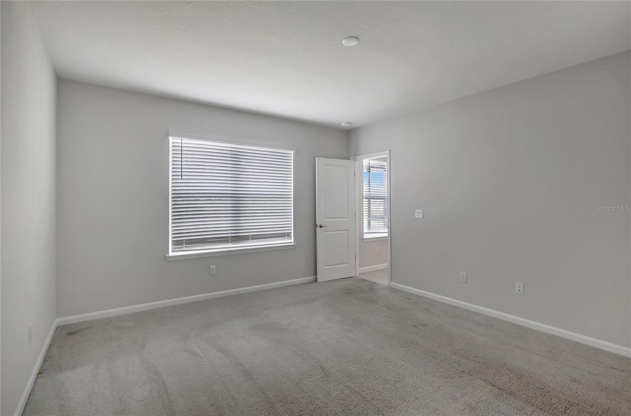 10209 Agave Court, Land O Lakes, FL 34638 Photo