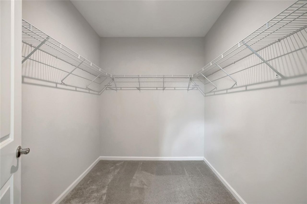 10209 Agave Court, Land O Lakes, FL 34638 Photo