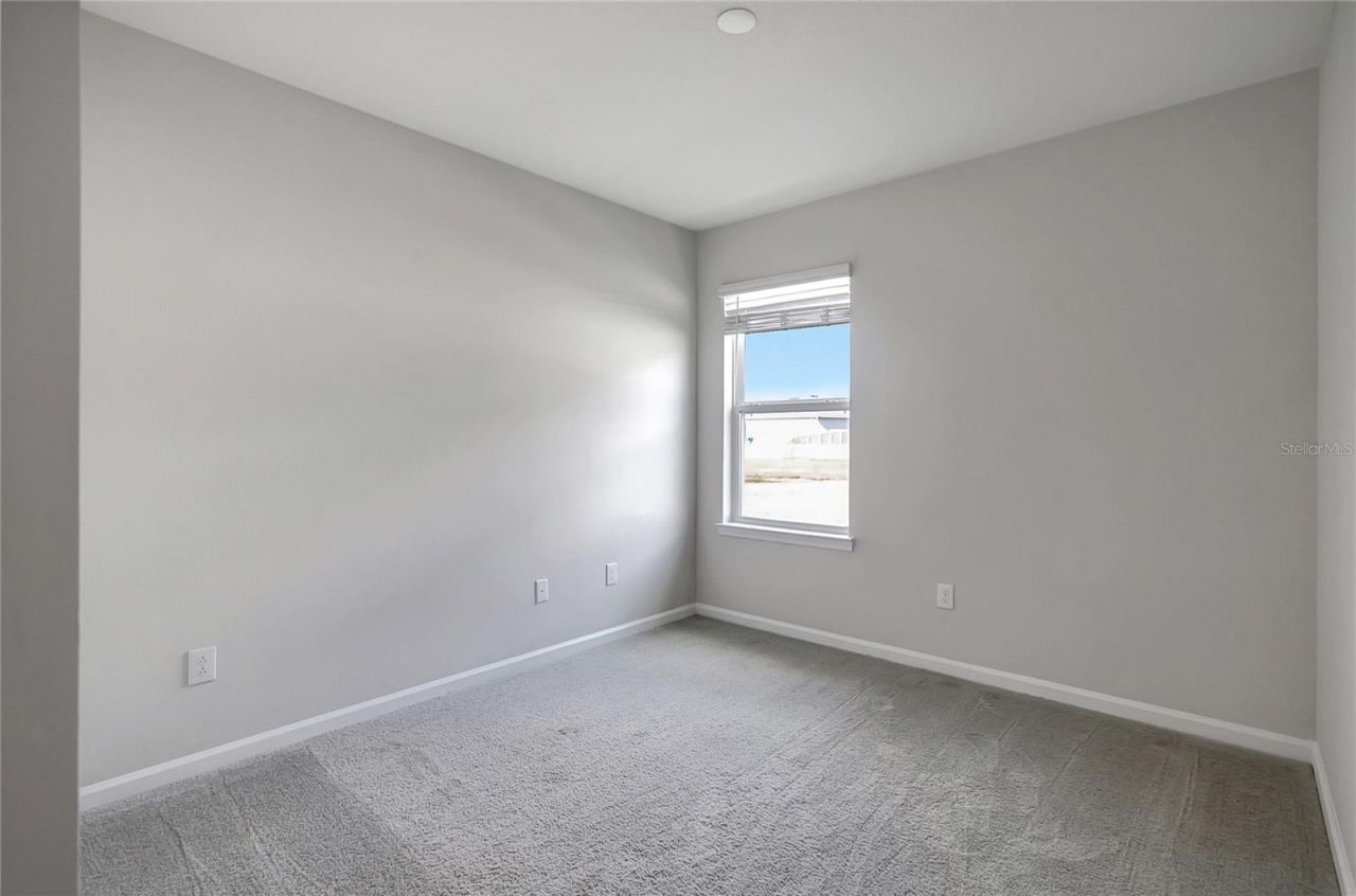 10209 Agave Court, Land O Lakes, FL 34638 Photo