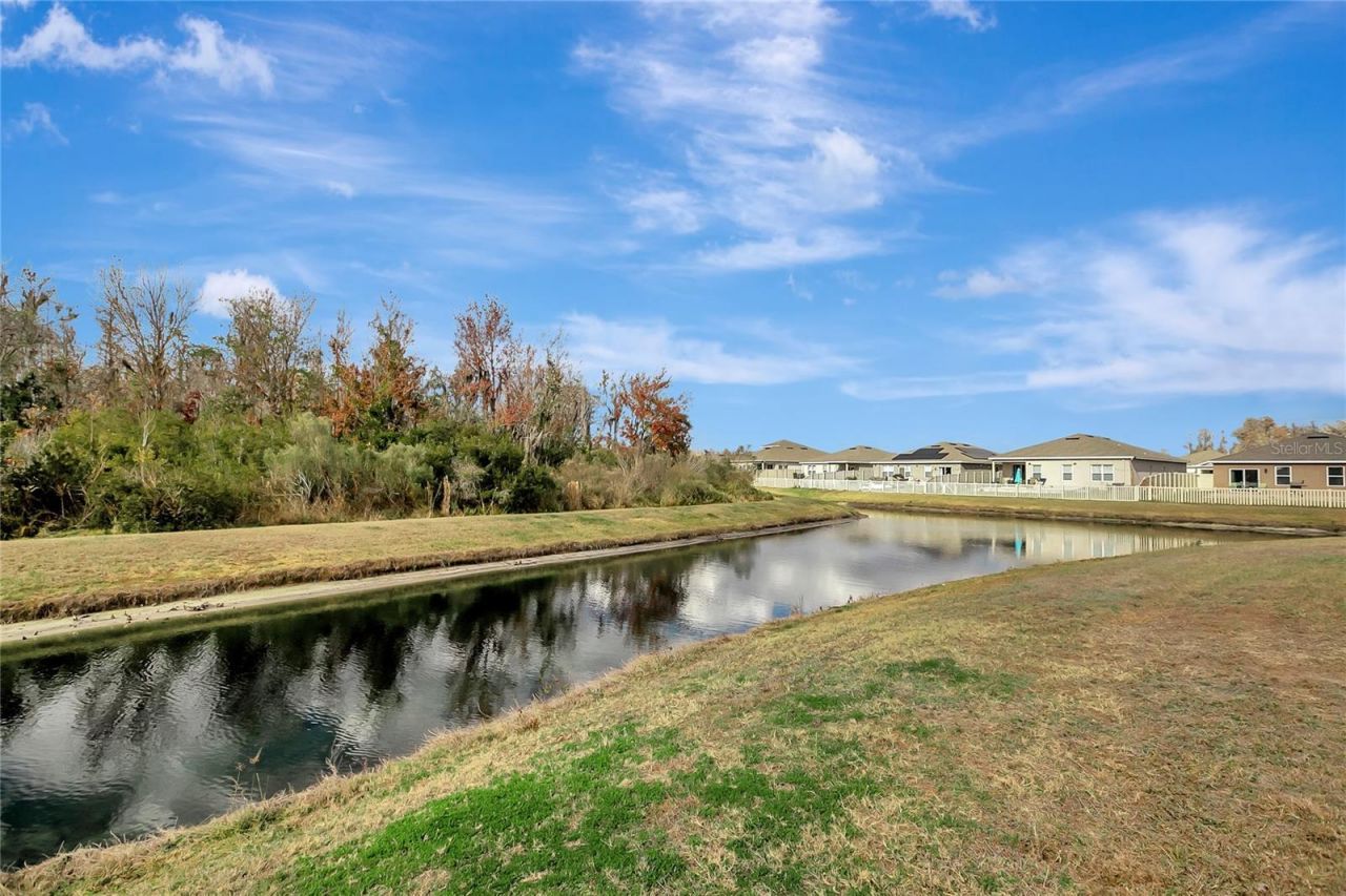 10209 Agave Court, Land O Lakes, FL 34638 Photo