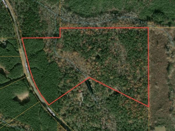 0 Forrest Road, Hogansville, GA 30230