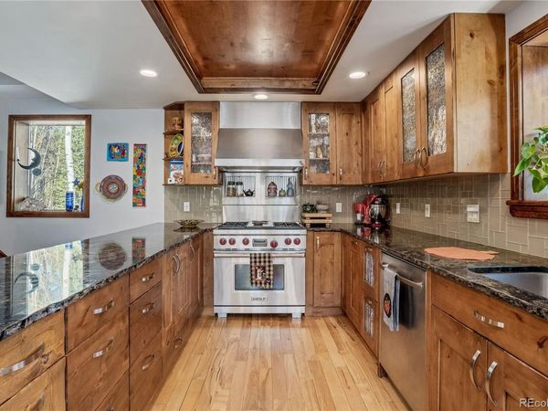 495 Edgewood Road, Alma, CO 80420