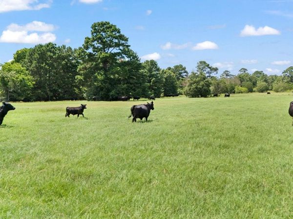 TBD St Delight (Tract 1) RD, Paige, TX 78659