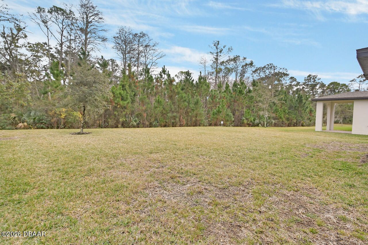 335 Sarah Nicole Way, New Smyrna Beach, FL 32168 Photo