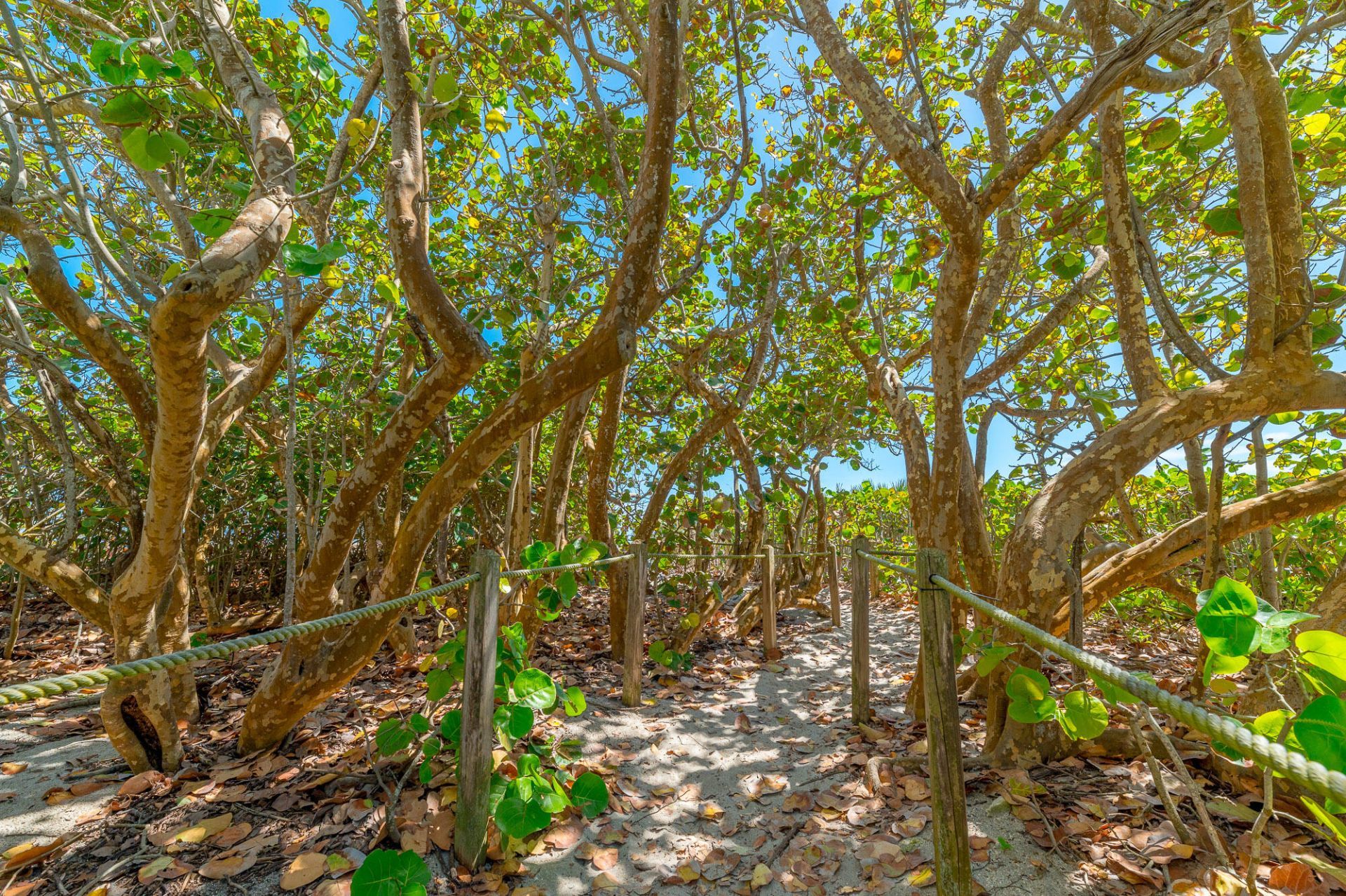 114 Ocean Bay Drive, Jensen Beach, FL 34957 Photo