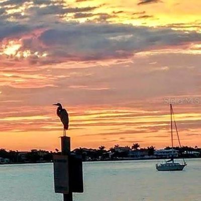 100 Bluff View Drive, Unit 604C, Belleair Bluffs, FL 33770 Photo