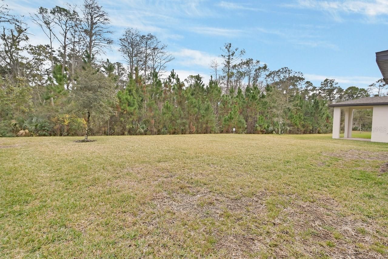 Please Call For Address, New Smyrna Beach, FL 32168 Photo