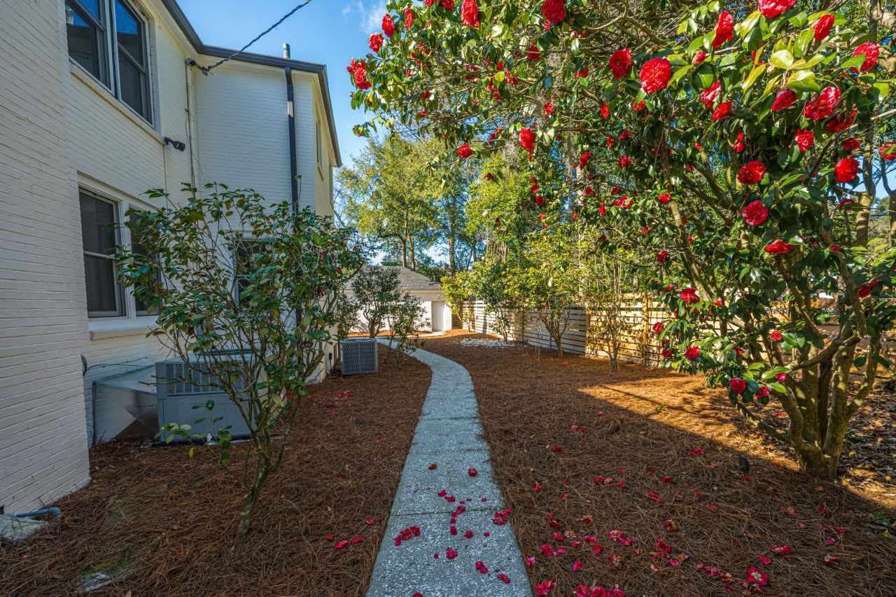 1162 Buist Avenue Photo 11