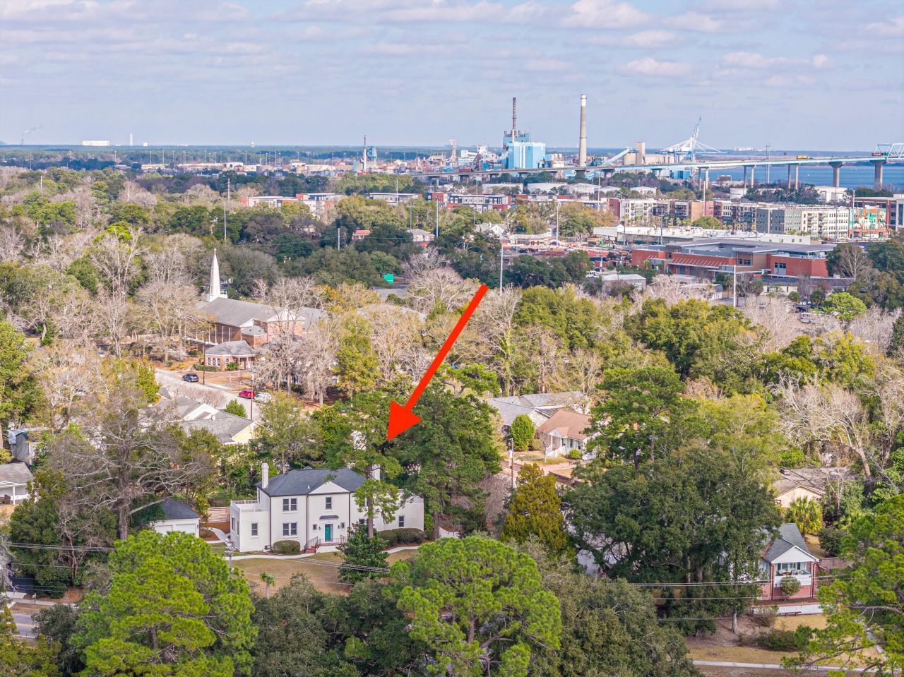 1162 Buist Avenue Photo 66