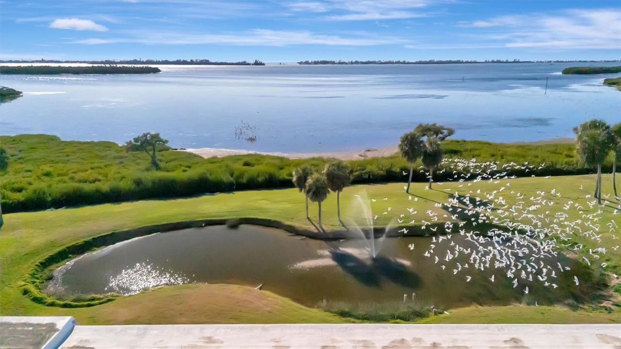 4741 Independence Drive, Bradenton, FL 34210 Photo