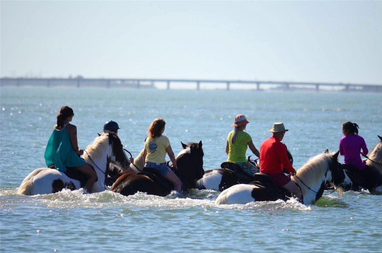 3608 54th Drive W, Unit 202, Bradenton, FL 34210 Photo