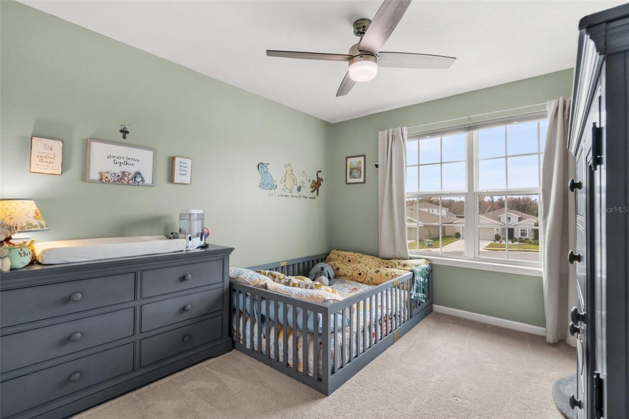 10188 Agave Court, Land O Lakes, FL 34638 Photo