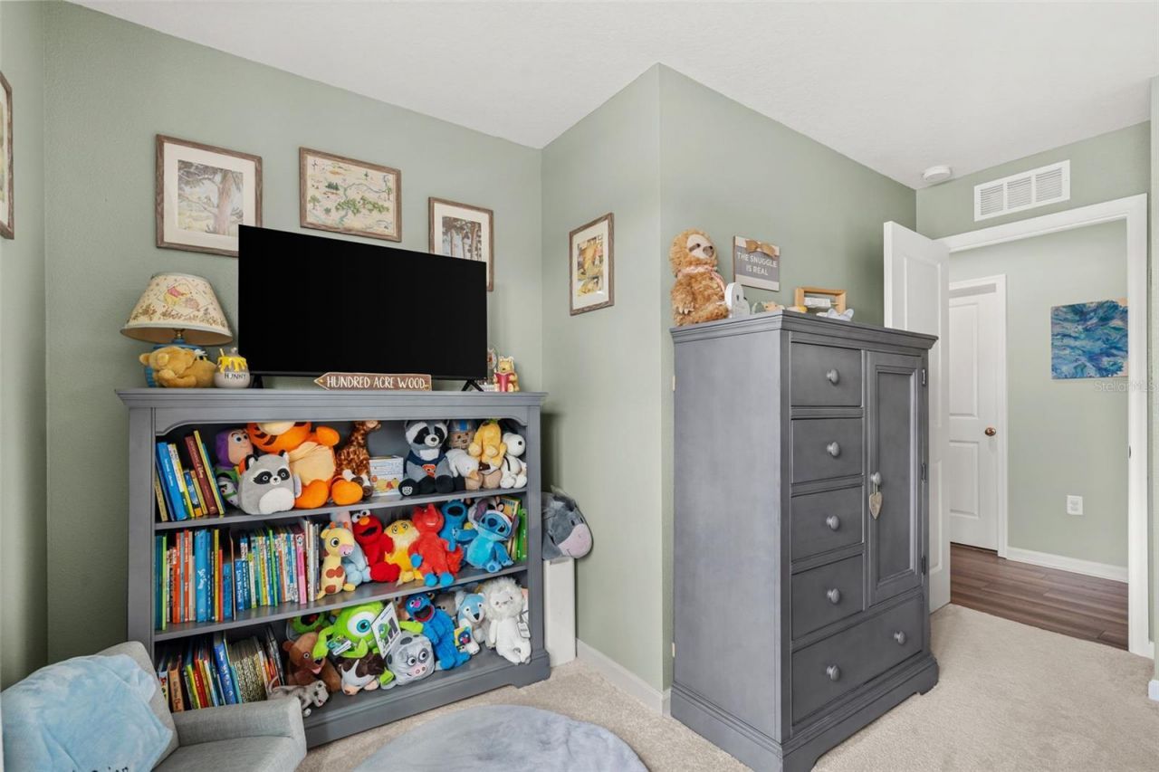 10188 Agave Court, Land O Lakes, FL 34638 Photo