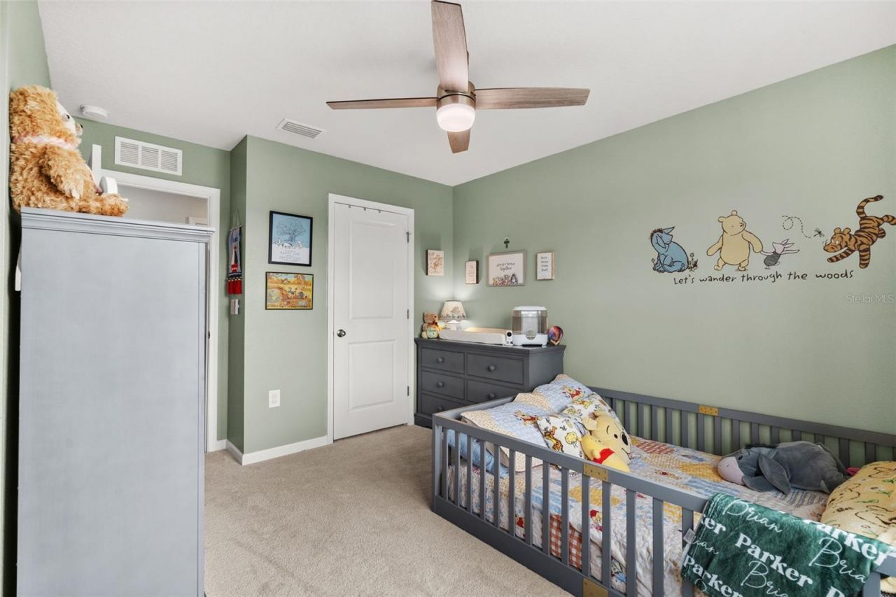 10188 Agave Court, Land O Lakes, FL 34638 Photo