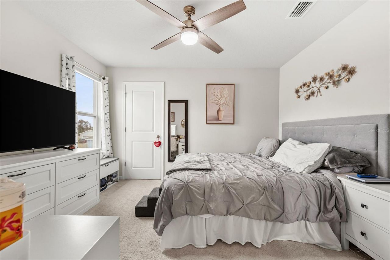 10188 Agave Court, Land O Lakes, FL 34638 Photo
