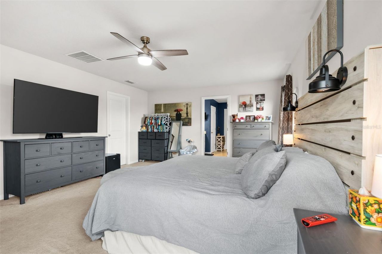 10188 Agave Court, Land O Lakes, FL 34638 Photo