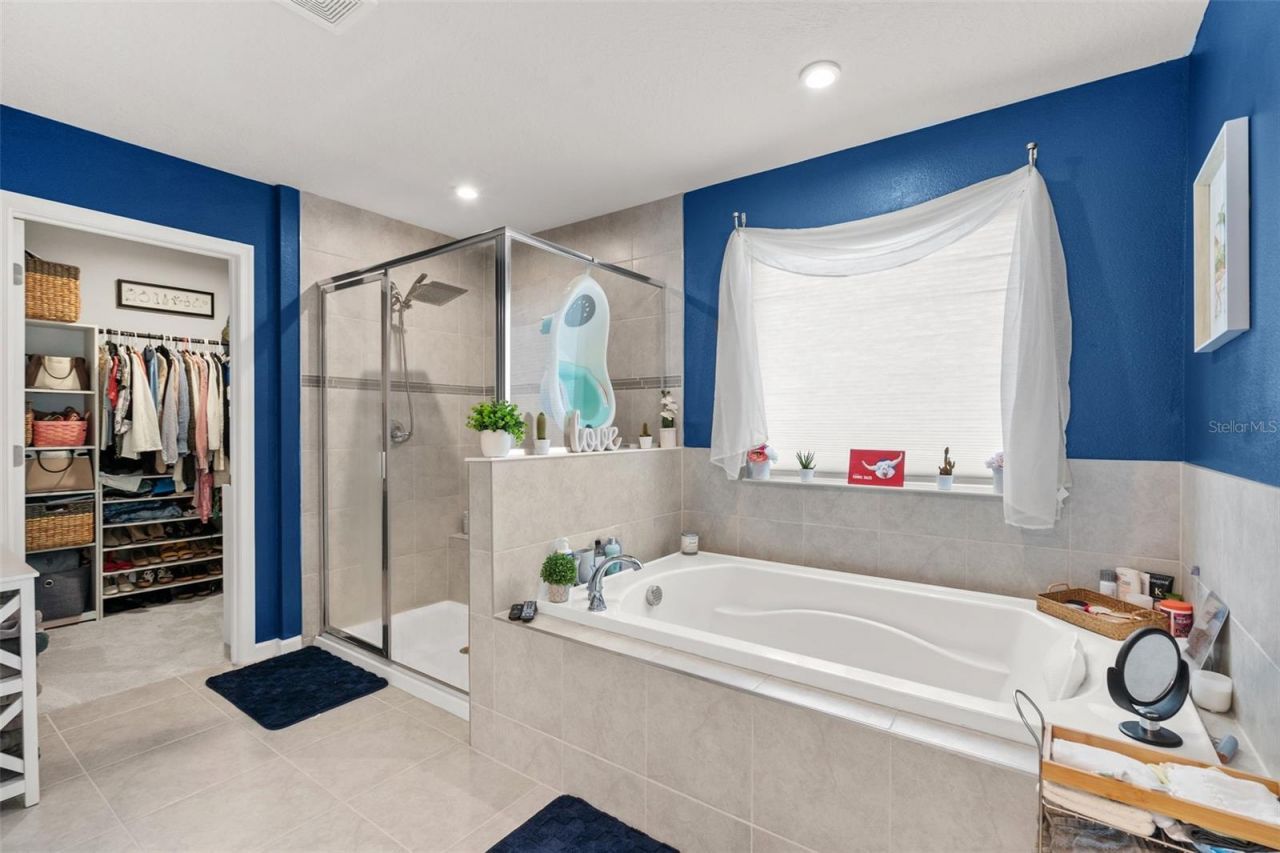 10188 Agave Court, Land O Lakes, FL 34638 Photo