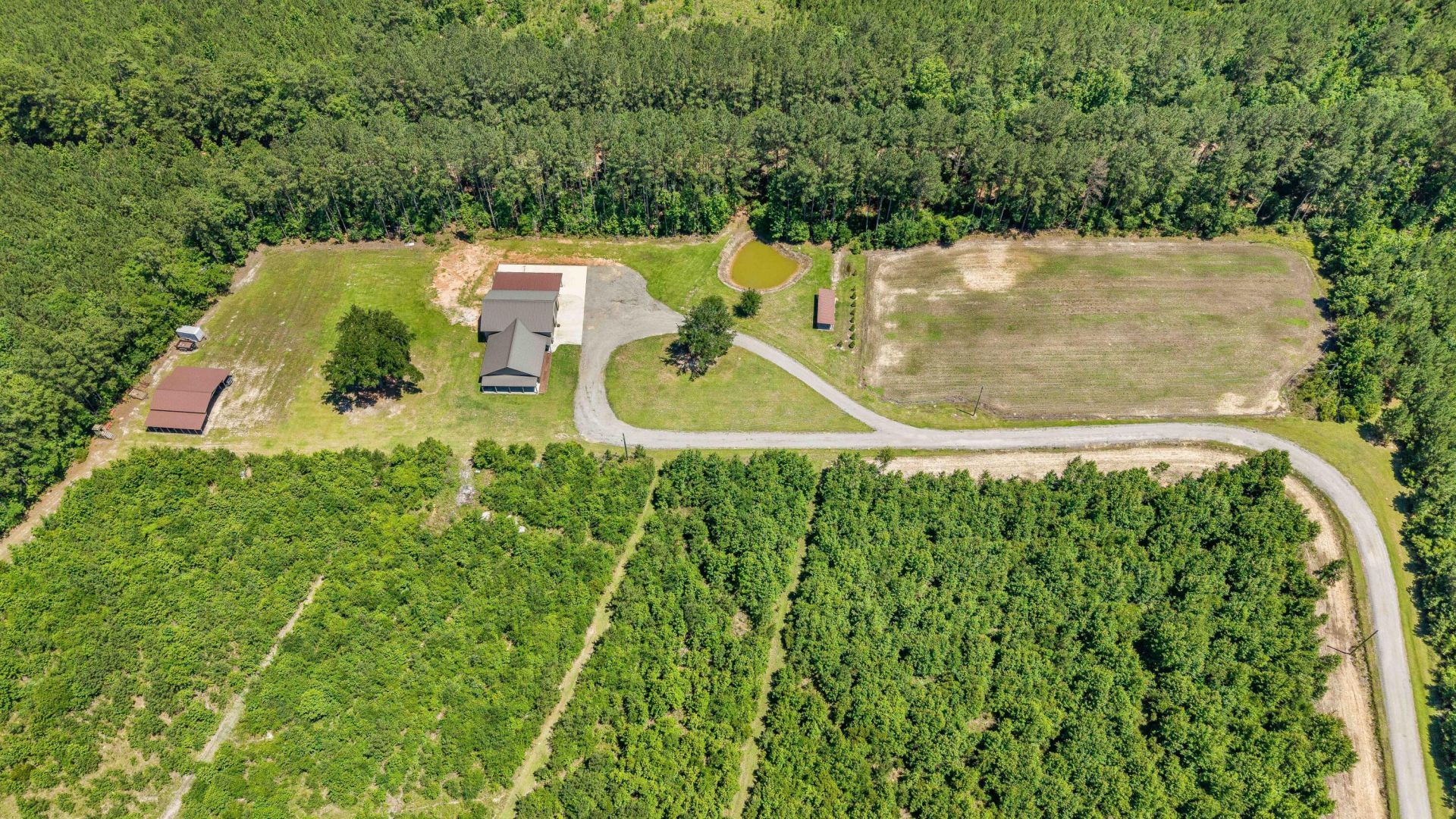 2145 Eutaw Road Photo 111
