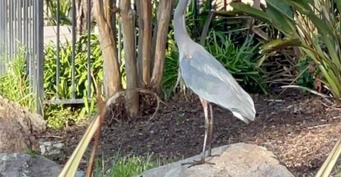 1040 Copper Park Ln, Modesto, CA 95355 Photo