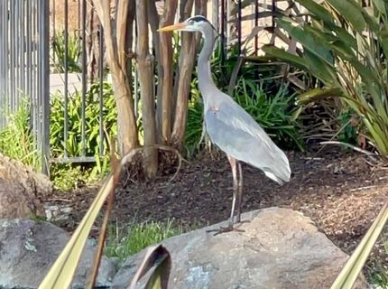 1040 Copper Park Ln, Modesto, CA 95355 Photo