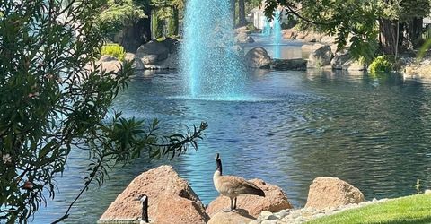 1040 Copper Park Ln, Modesto, CA 95355 Photo