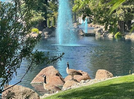 1040 Copper Park Ln, Modesto, CA 95355 Photo