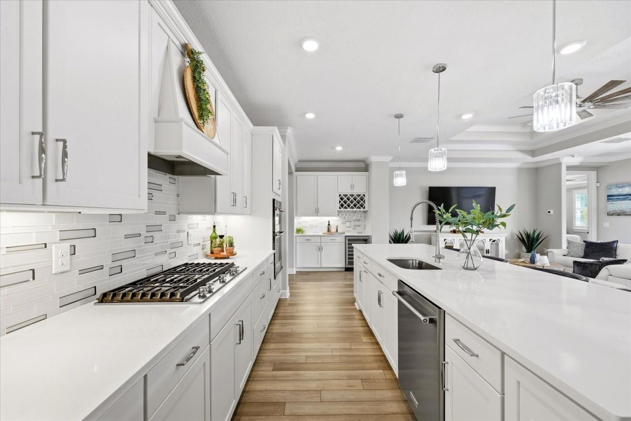 5356 Blue Crush Bend, Land O Lakes, FL 34638 Photo