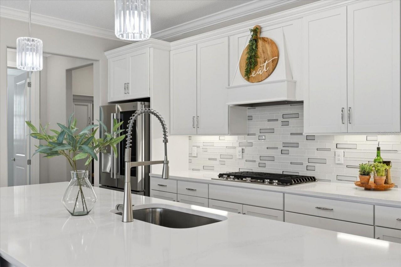 5356 Blue Crush Bend, Land O Lakes, FL 34638 Photo