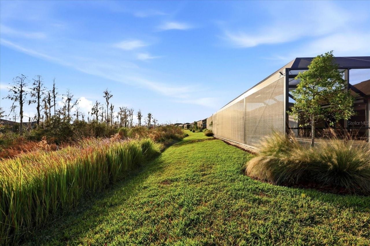 5356 Blue Crush Bend, Land O Lakes, FL 34638 Photo