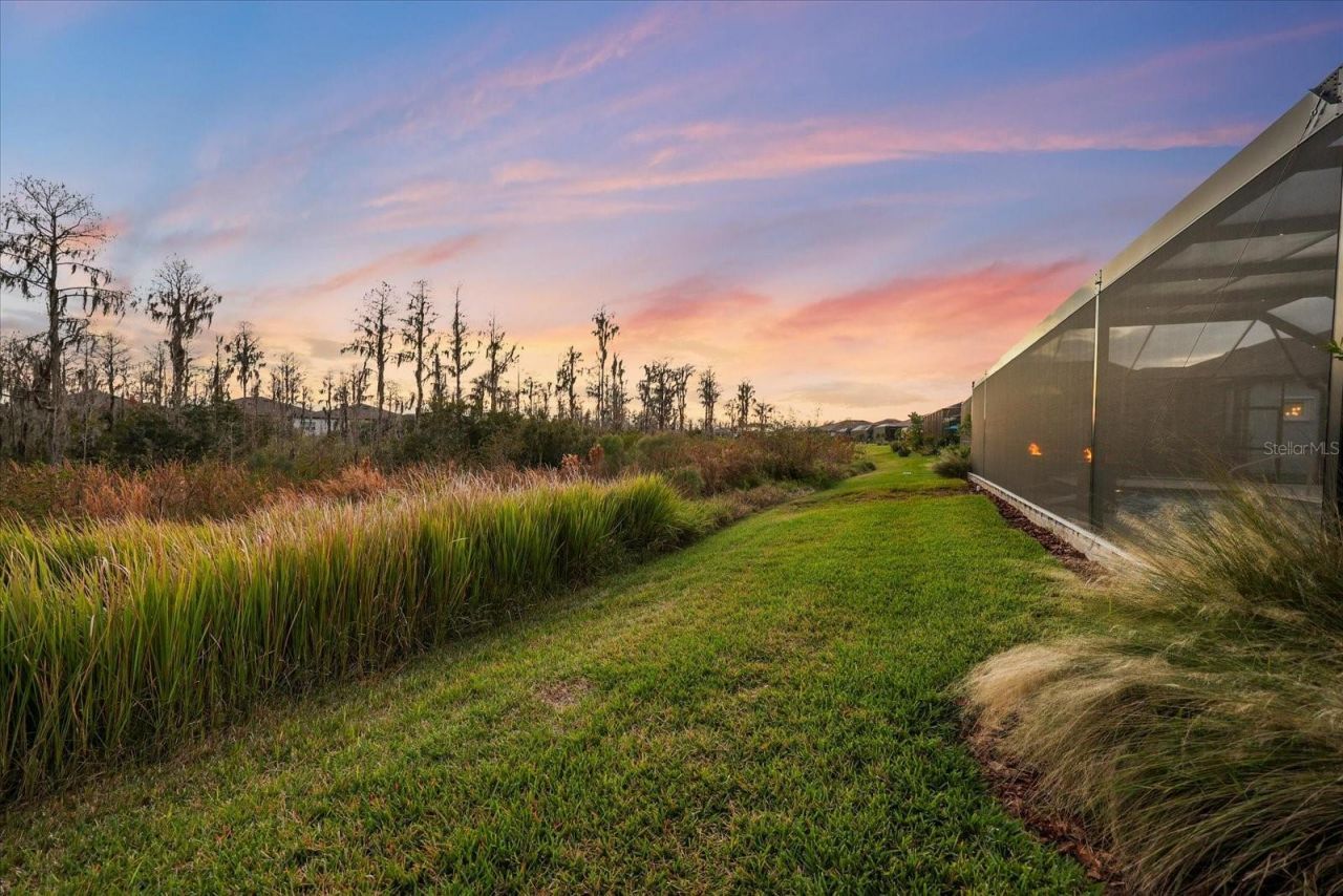 5356 Blue Crush Bend, Land O Lakes, FL 34638 Photo