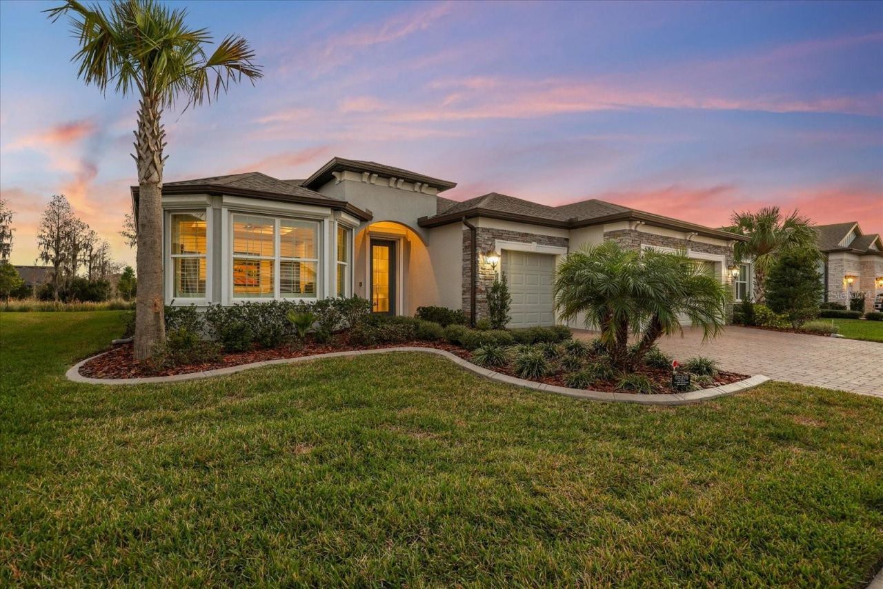 5356 Blue Crush Bend, Land O Lakes, FL 34638 Photo