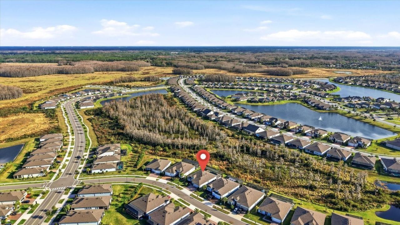 5356 Blue Crush Bend, Land O Lakes, FL 34638 Photo