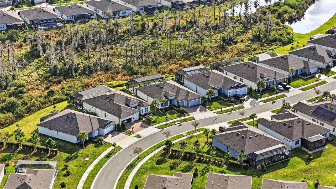 5356 Blue Crush Bend, Land O Lakes, FL 34638 Photo