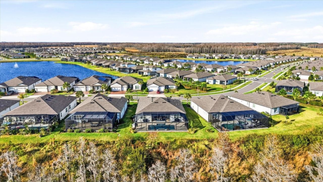 5356 Blue Crush Bend, Land O Lakes, FL 34638 Photo