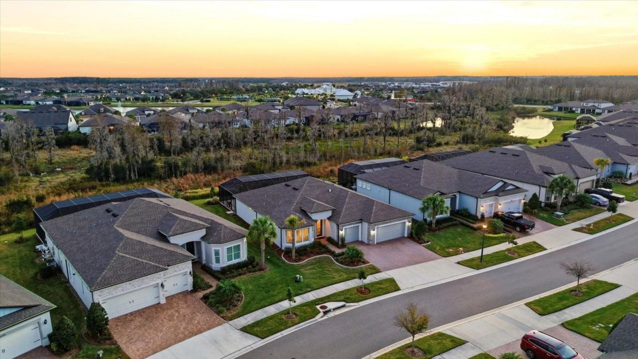 5356 Blue Crush Bend, Land O Lakes, FL 34638 Photo