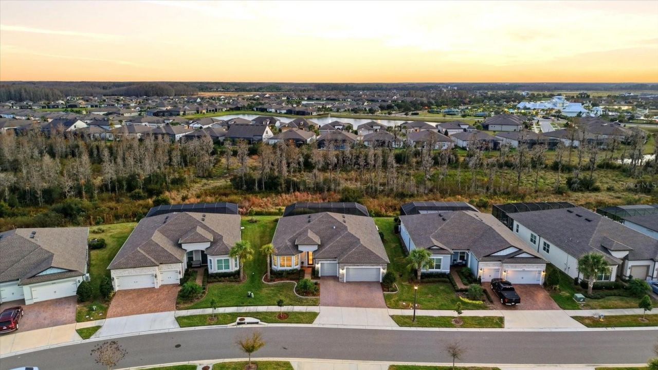 5356 Blue Crush Bend, Land O Lakes, FL 34638 Photo