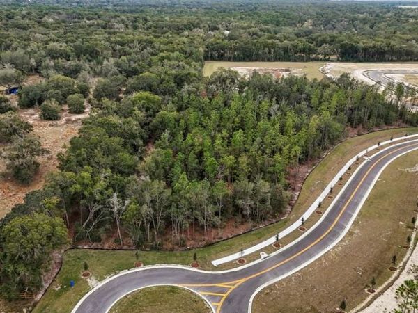 5936 STONEYBROOK HILLS PARKWAY, MOUNT DORA, FL 32757