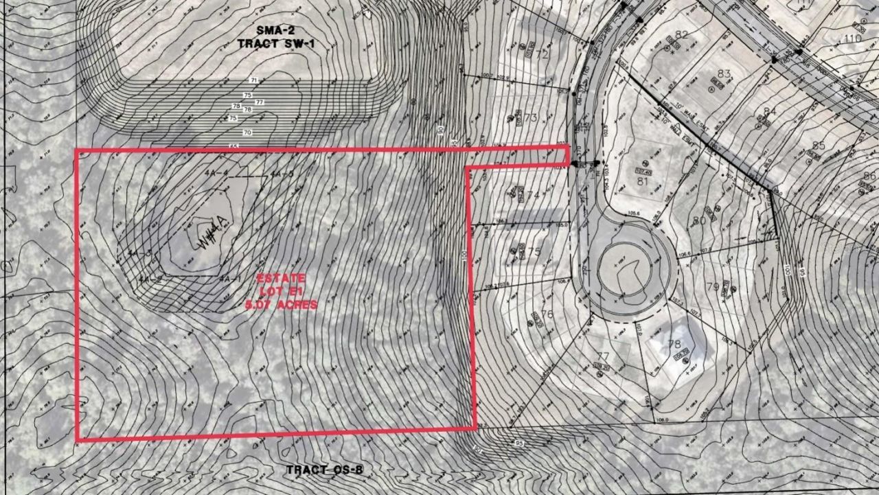 5129 Rising Ridge Drive, Mount Dora, FL 32757 Photo
