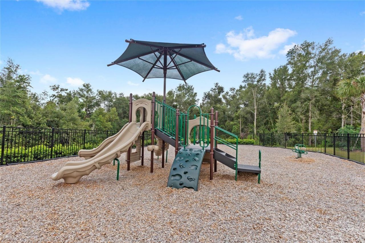 5129 Rising Ridge Drive, Mount Dora, FL 32757 Photo