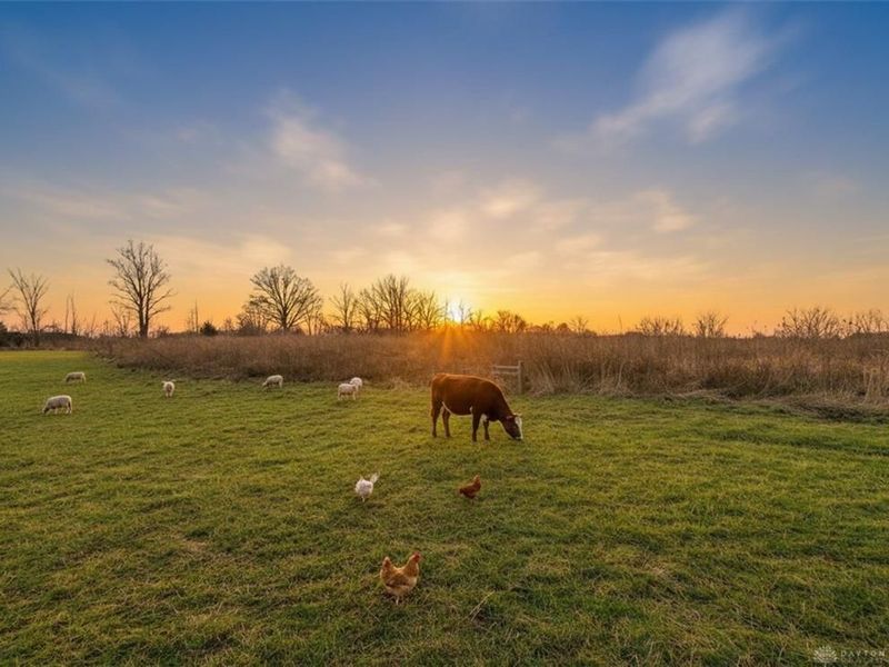 10022 Coletown-Lightsville, Brown Township, OH 45303 Photo 43