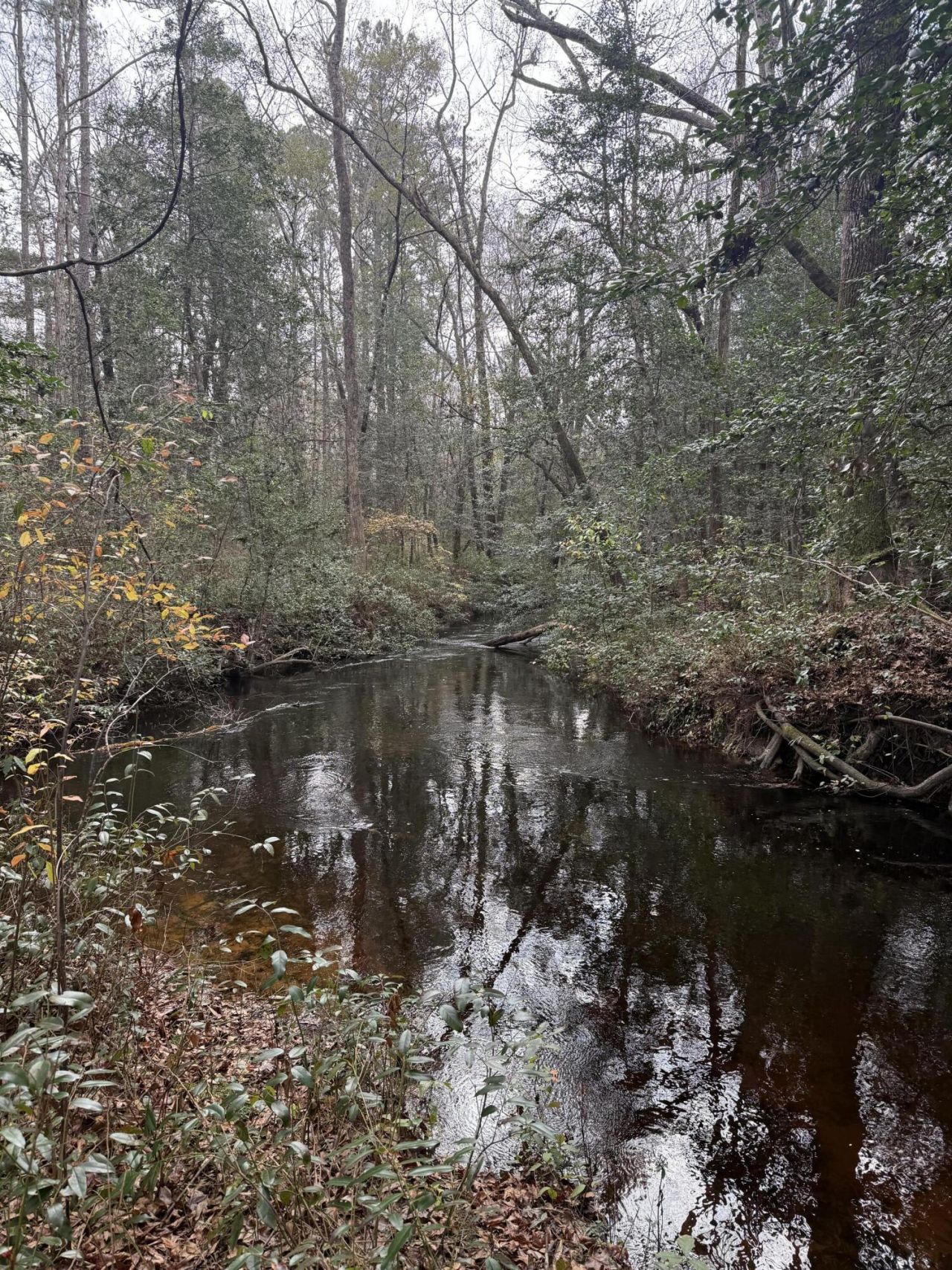 675 Vaughns Mill Pond Road Photo 1