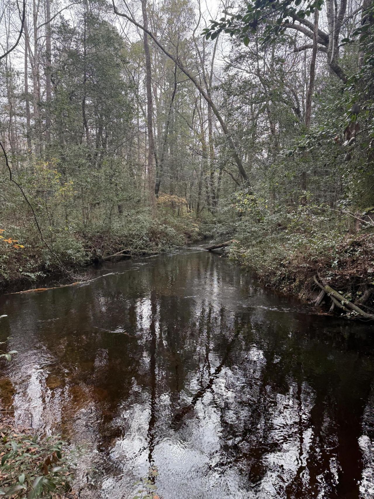 675 Vaughns Mill Pond Road Photo 2