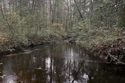 675 Vaughns Mill Pond Road photo 4